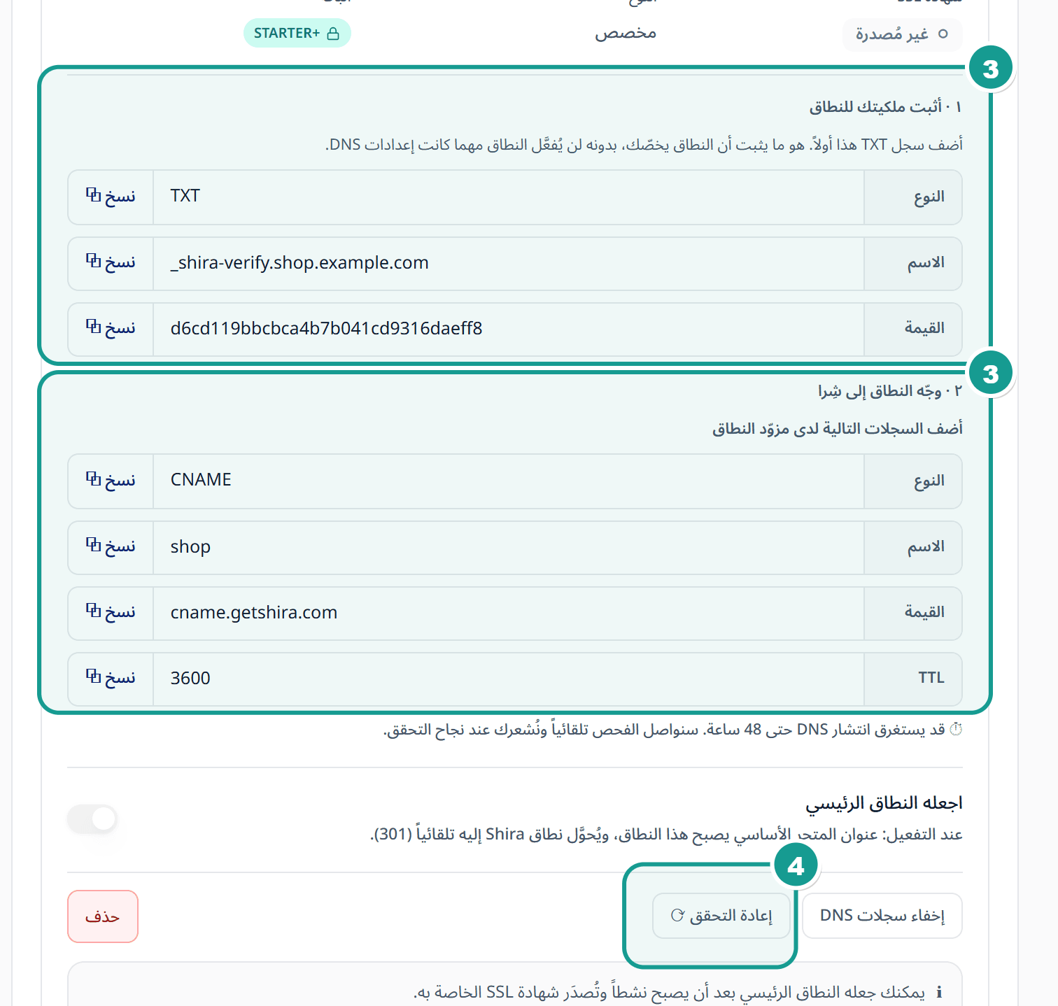 شاشة عرض سجلات DNS لنطاق خاص وبجانب كل قيمة زر نسخ
